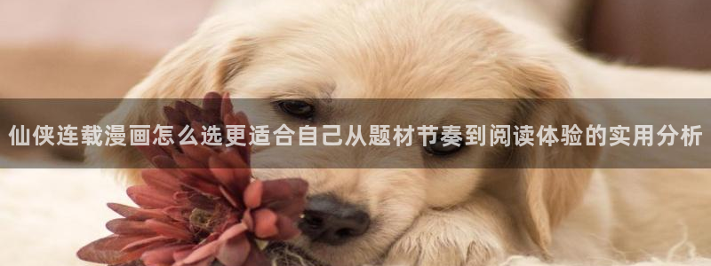 免费漫画找漫画