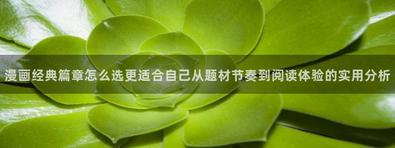 免费漫画网址